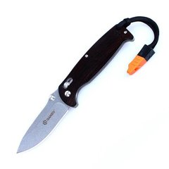 Нож складной Ganzo G7412-WD2-WS