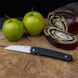 Нож складной Ruike Fang P865-B Black Sandvik 14C28N