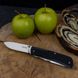 Нож многофункциональный Ruike Trekker LD21-B Black Sandvik 12C27